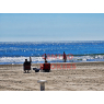 Apartament 100 m od plaży z licencją na wynajem  w Cullera, Walencja